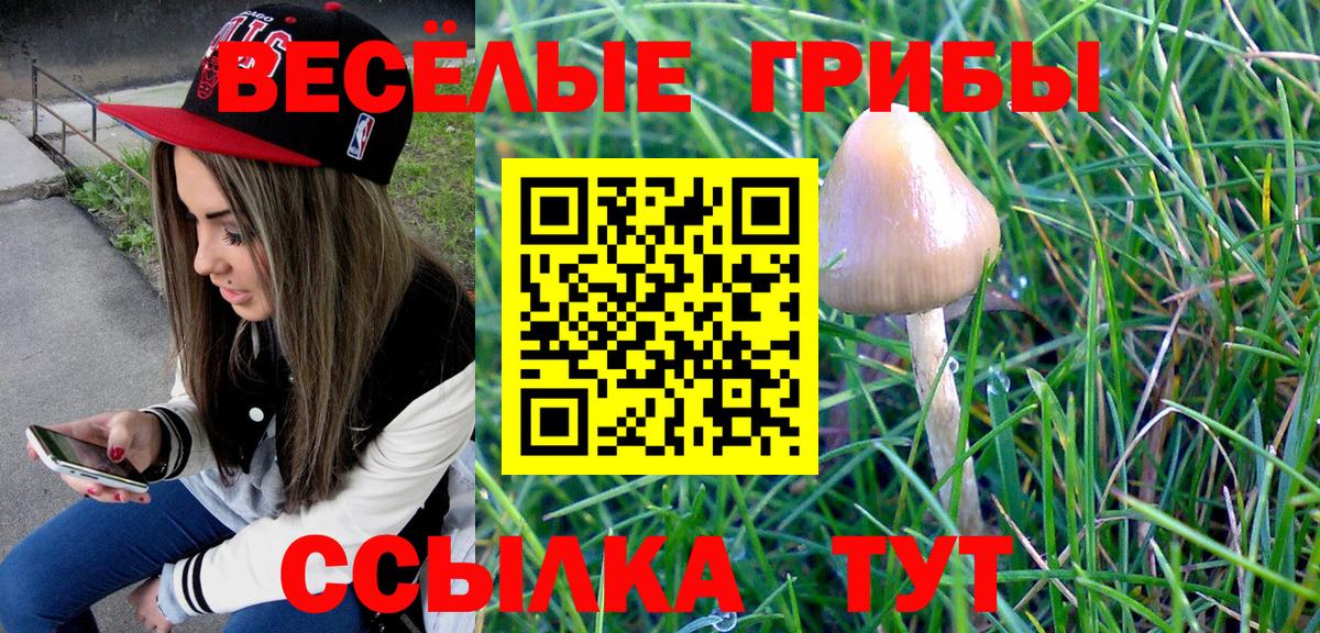 Кимры  Галлюциногенные грибы мухоморы  Псилоцибиновые грибы мицелий  как найти закладки  Вход с VPN 