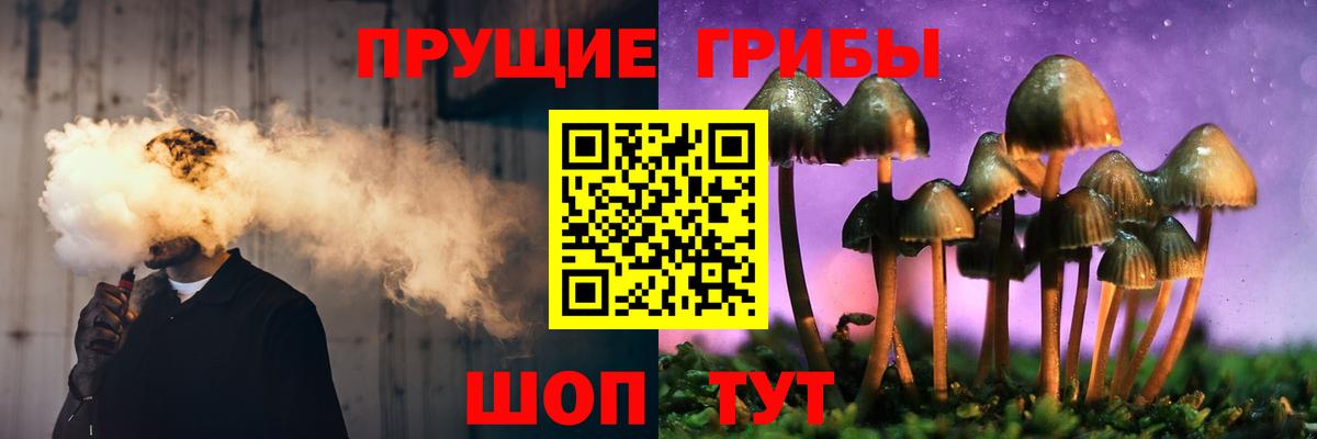Псилоцибиновые грибы ЛСД Кимры